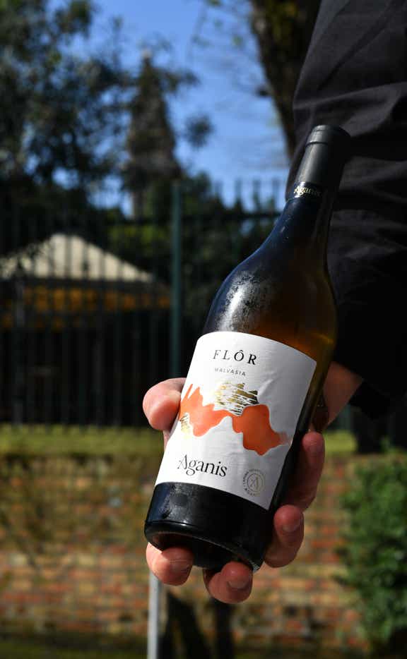 Dettaglio della mano di uno dei nostri camerieri, che sorregge una bottiglia di vino. Sullo sfondo il canale di Burano, in particolare si vede il giardino della scuola dall'altra parte del canale della fondamenta